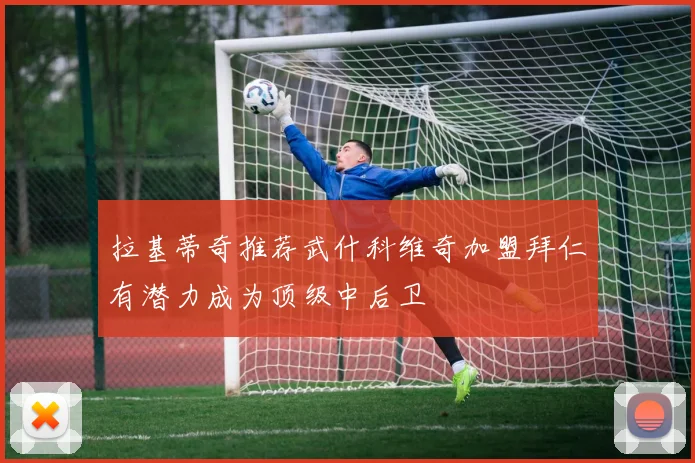 拉基蒂奇推荐武什科维奇加盟拜仁有潜力成为顶级中后卫