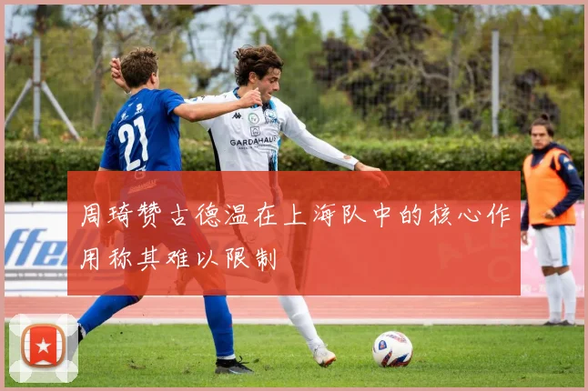周琦赞古德温在上海队中的核心作用称其难以限制